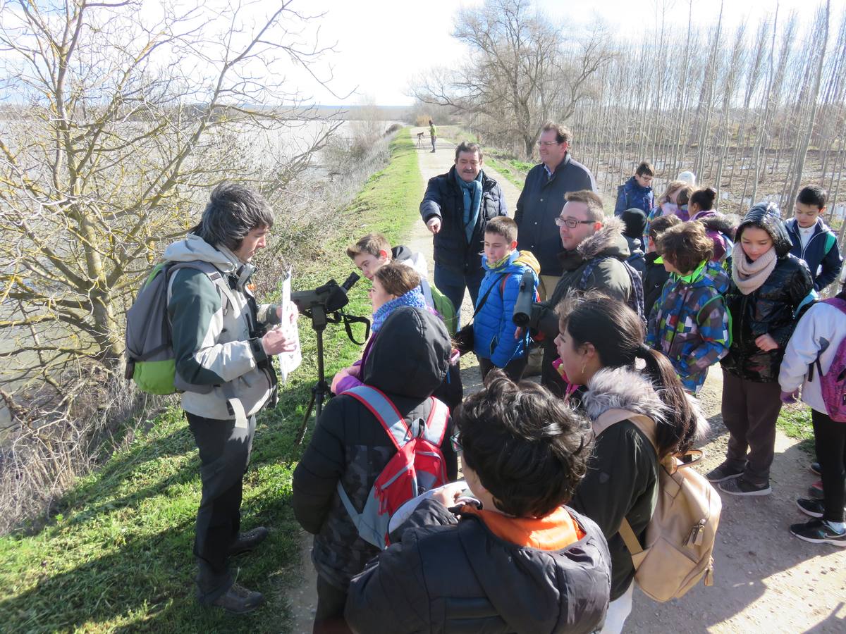 Tres colegios de Alfaro han participado en el programa educativo Regeneremos los Sotos