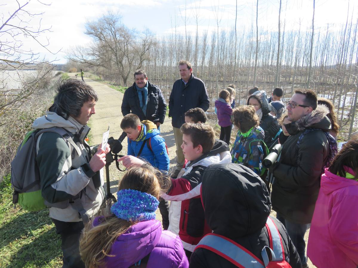 Tres colegios de Alfaro han participado en el programa educativo Regeneremos los Sotos