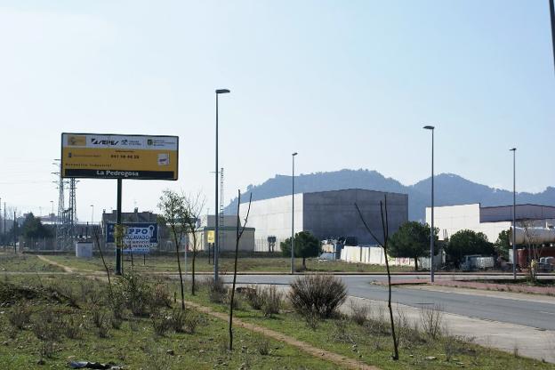 El polígono industrial La Pedregosa no ha tenido mantenimiento desde que se creó. :: F. D.