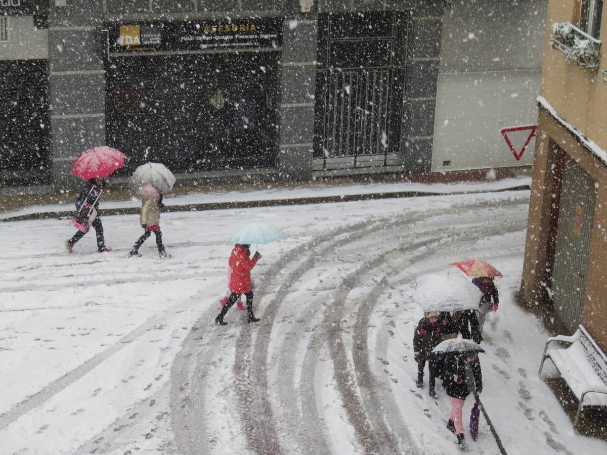 El temporal de nieve en LA Rioja ha dejado preciosas estampas, como estas de Alfaro en las que las cigüeñas han tenido un protagonismo especial