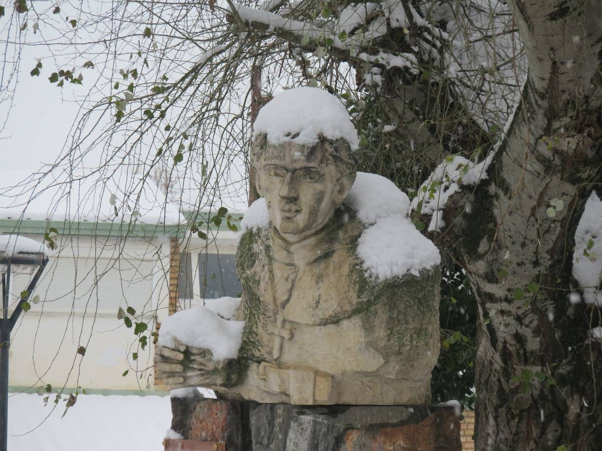 El temporal de nieve en LA Rioja ha dejado preciosas estampas, como estas de Alfaro en las que las cigüeñas han tenido un protagonismo especial