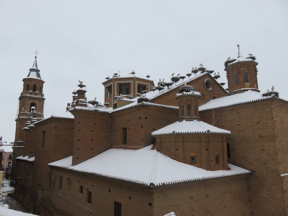 El temporal de nieve en LA Rioja ha dejado preciosas estampas, como estas de Alfaro en las que las cigüeñas han tenido un protagonismo especial