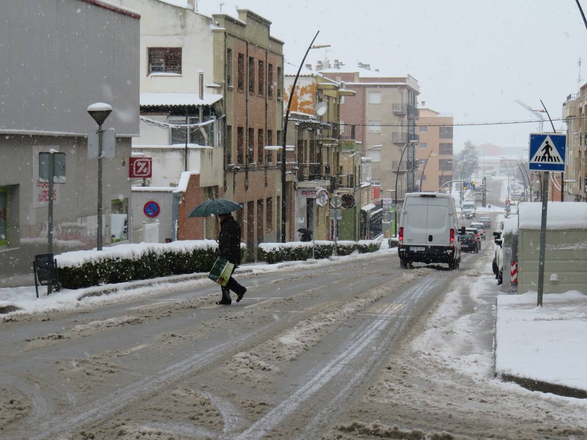 El temporal de nieve en LA Rioja ha dejado preciosas estampas, como estas de Alfaro en las que las cigüeñas han tenido un protagonismo especial