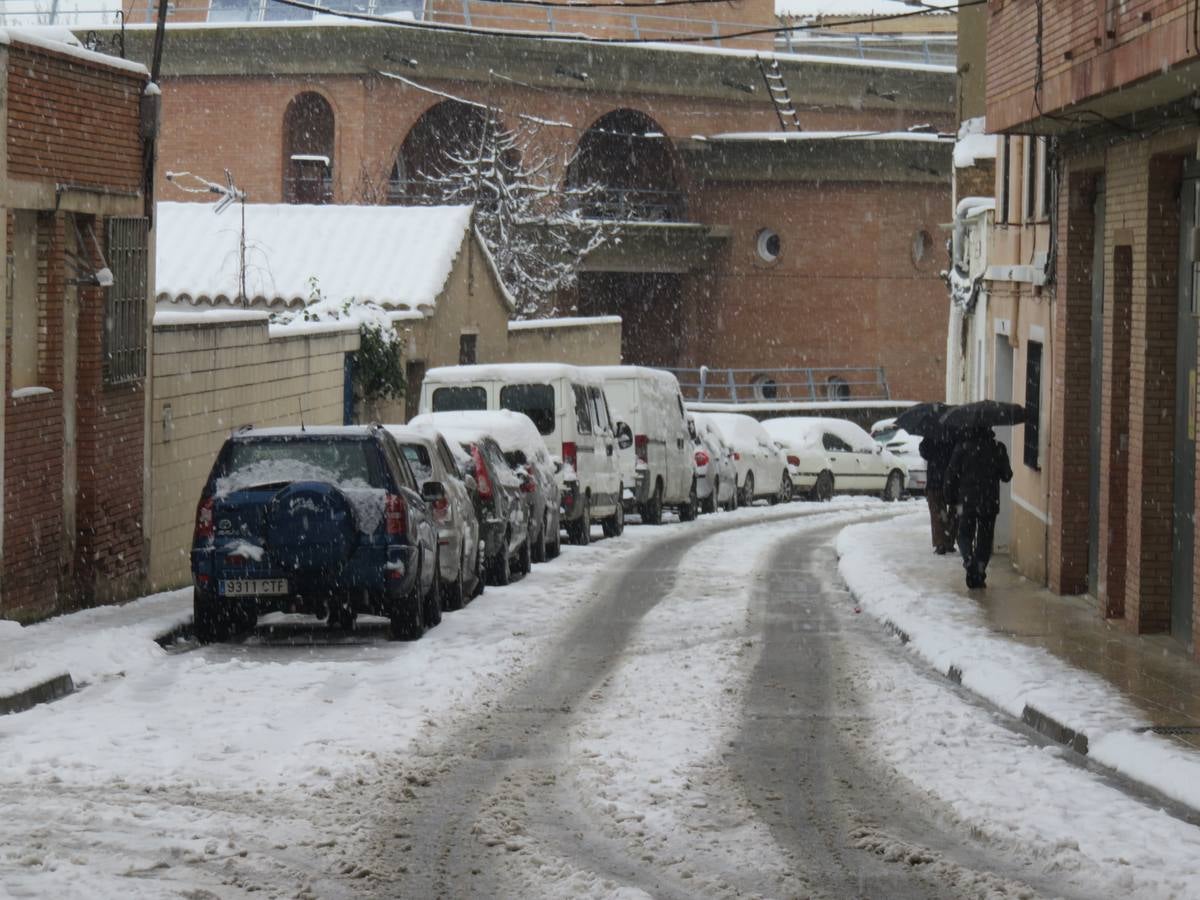 El temporal de nieve en LA Rioja ha dejado preciosas estampas, como estas de Alfaro en las que las cigüeñas han tenido un protagonismo especial