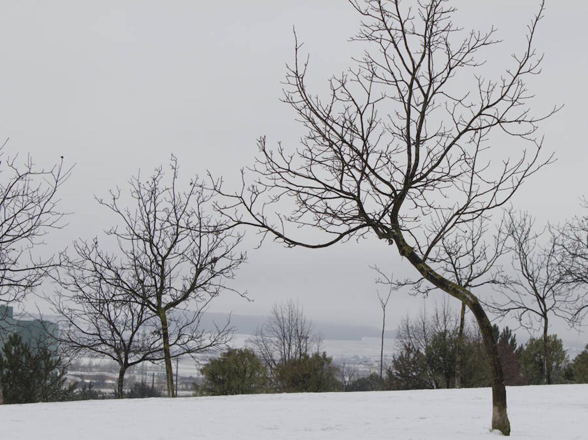 Un paseo mañanero se transforma como por arte de magia en una sensación diferente cada vez que un manto de nieve cubre la ciudad. El parque de San Miguel lucía con todo su esplendor la mañana de este 28 de febrero