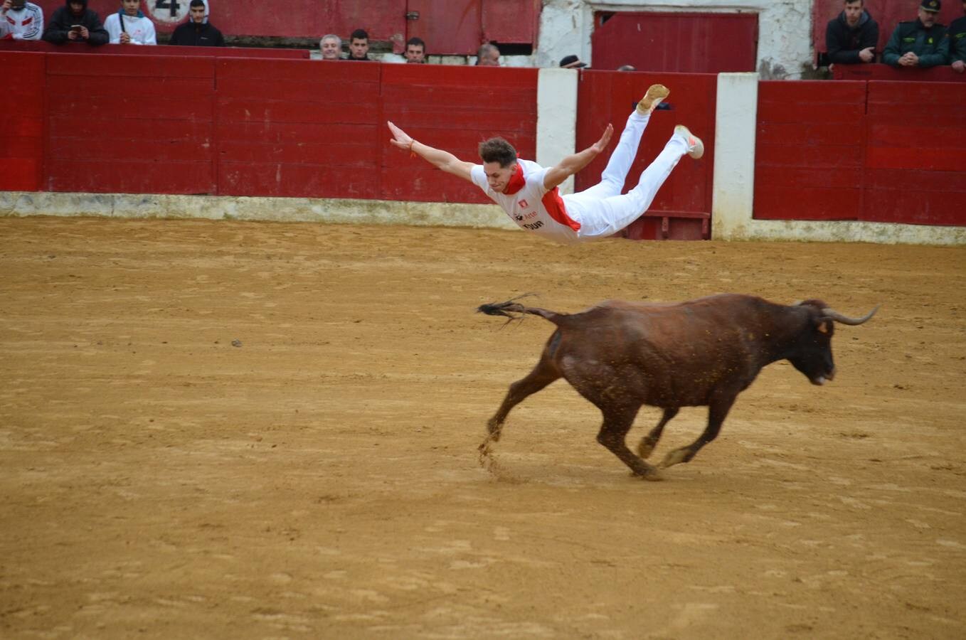 Al chupinazo celebrado por la mañana le siguió por la tarde el primer encierro de reses bravas. Sólo los más ‘valientes’ se atrevieron con el espectáculo. Y es que había que armarse de valor para soportar el frío y la lluvia que se apropiaron de la tarde en Calahorra. Al final, con gorros y paraguas, los aficionados disfrutaron de las vacas en la calle y de los saltos y quiebros de los recortadores en la plaza. Antes de la exhibición se guardó un minuto de silencio por el calagurritano Chema García, fallecido esta semana y gran aficionado al mundo taurino, y en especial a los encierros. 