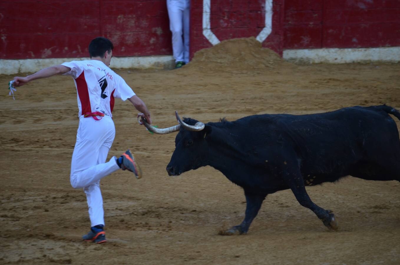 Este sábado, los calagurritanos pudieron disfrutar de la precisión y el riesgo en el concurso de anillas de la plaza