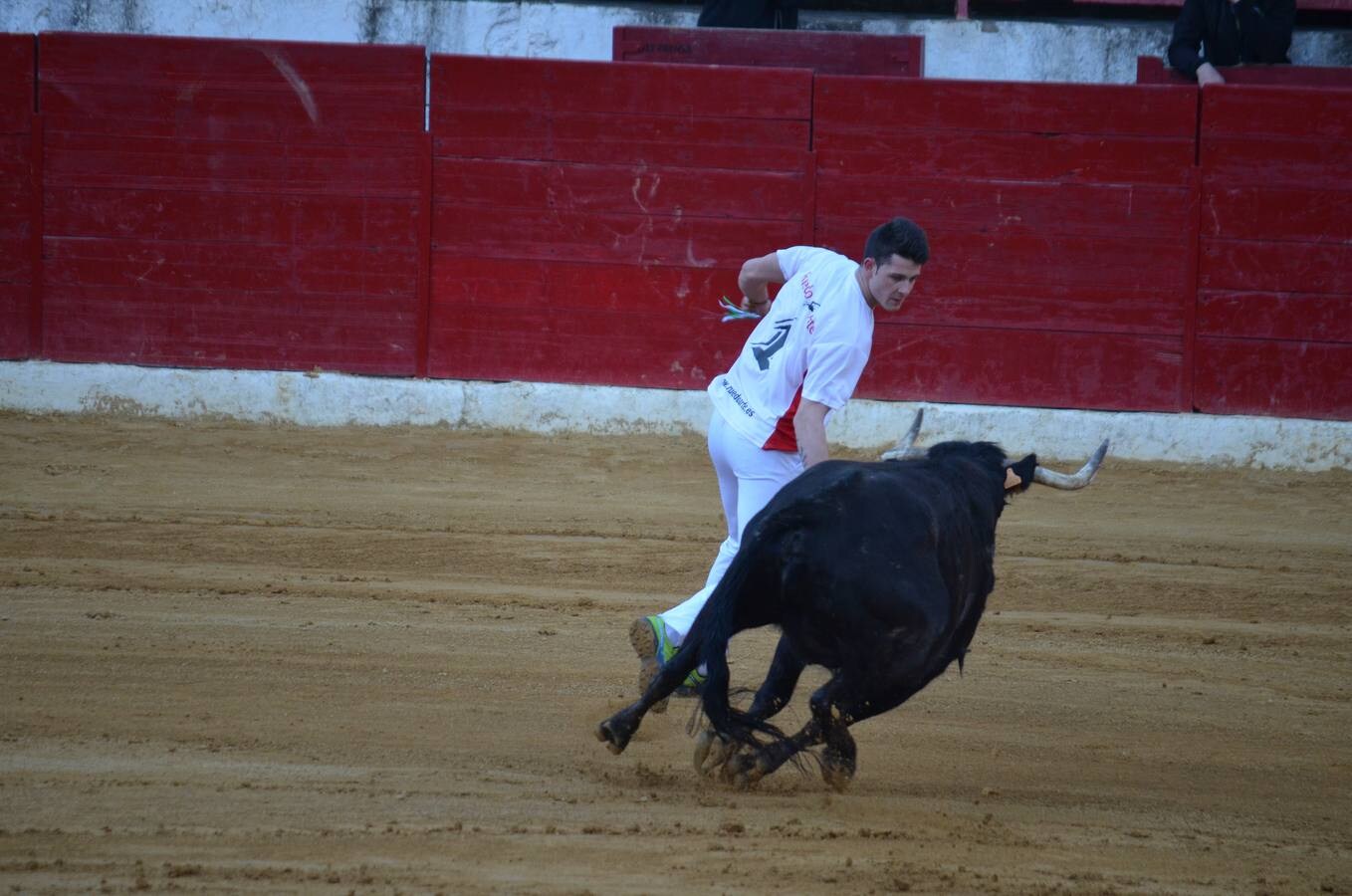 Este sábado, los calagurritanos pudieron disfrutar de la precisión y el riesgo en el concurso de anillas de la plaza