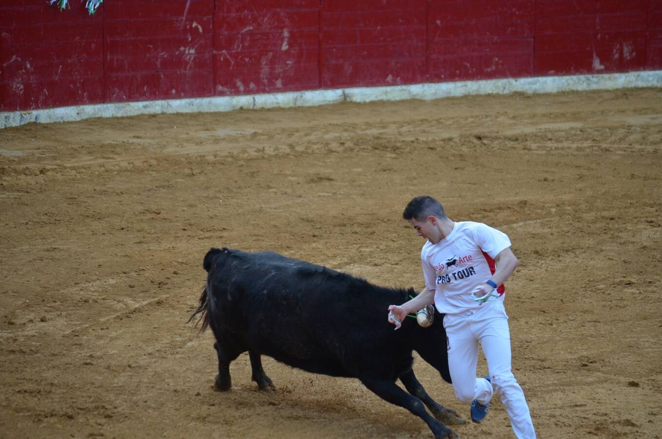 Este sábado, los calagurritanos pudieron disfrutar de la precisión y el riesgo en el concurso de anillas de la plaza