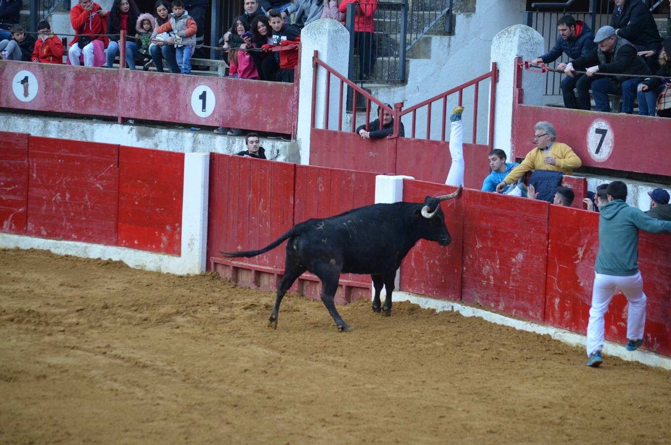 Este sábado, los calagurritanos pudieron disfrutar de la precisión y el riesgo en el concurso de anillas de la plaza