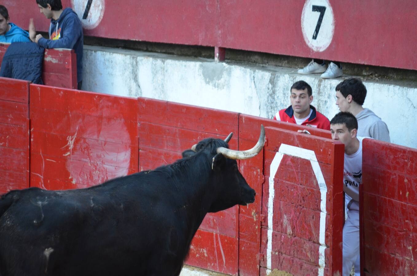 Este sábado, los calagurritanos pudieron disfrutar de la precisión y el riesgo en el concurso de anillas de la plaza