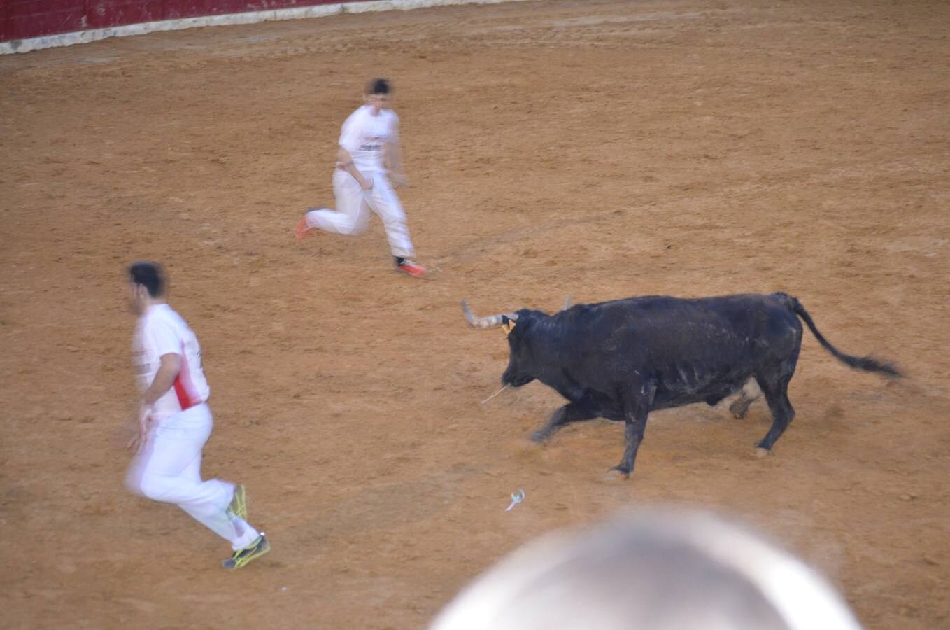 Este sábado, los calagurritanos pudieron disfrutar de la precisión y el riesgo en el concurso de anillas de la plaza