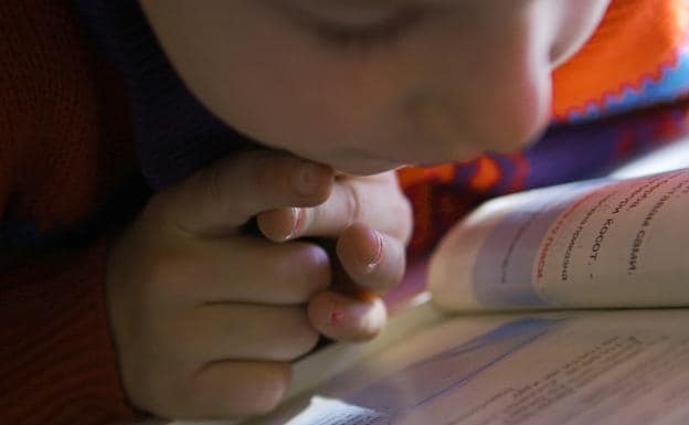 Un niño riojano con discapacidad ve reconocido su derecho a asistir a un colegio ordinario