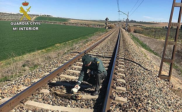 Un agente de la Guardia Civil, examinando el cadáver de un animal.