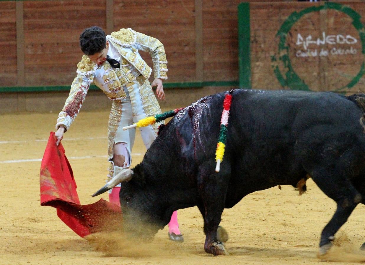 Tomás Campos arrebató con una faena enorme y profunda al sexto y Padilla pasó sin pena ni gloria