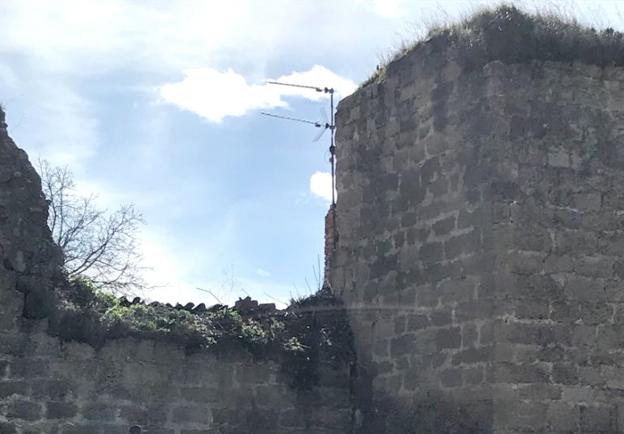 Parte de la muralla en la que se encontraba el árbol quitado. :: l.r.