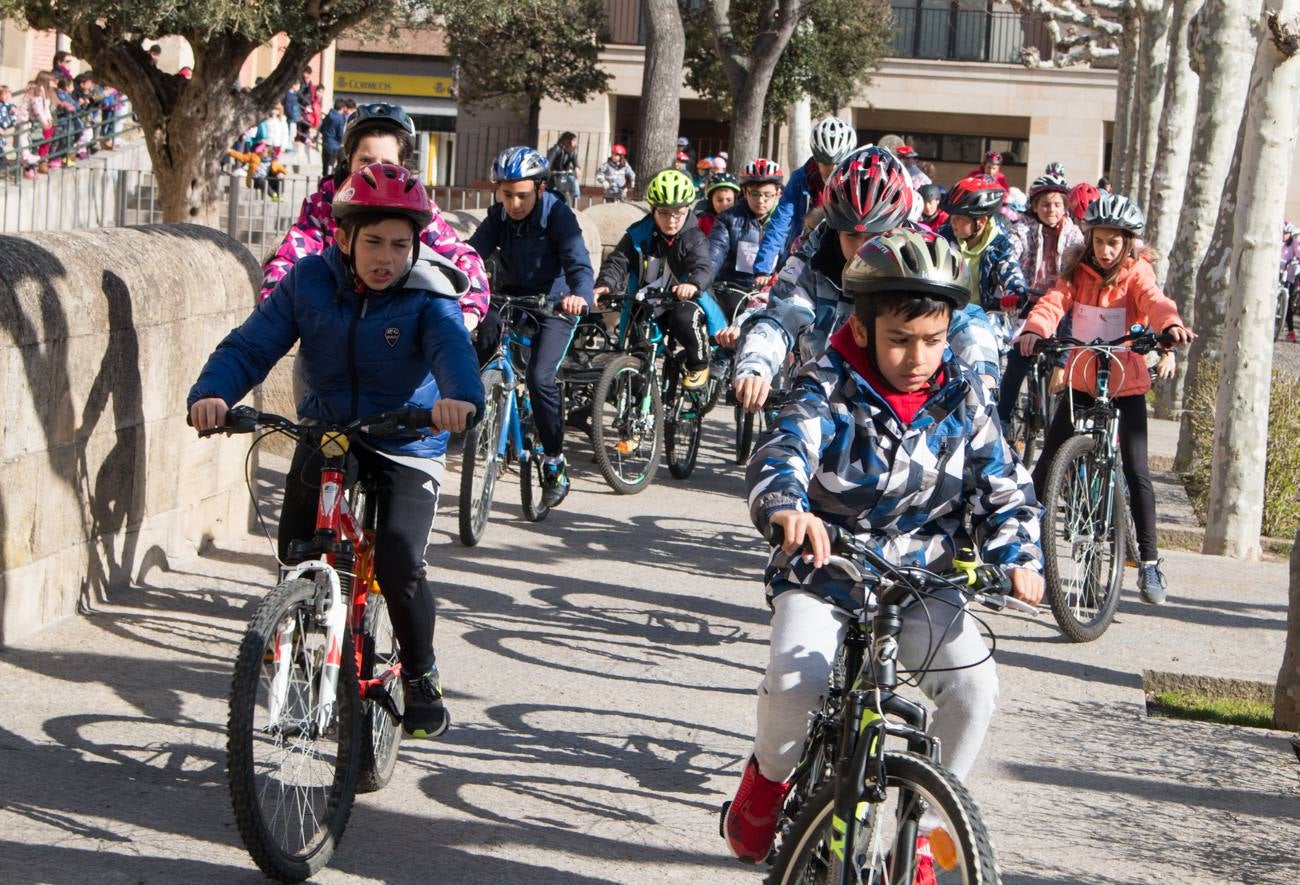 La V Marcha Solidaria en Bicicleta, a beneficio de la AECC ha reunido en Santo Domingo de la Calzada a cerca de 500 personas, la mayoría de ellas escolares.