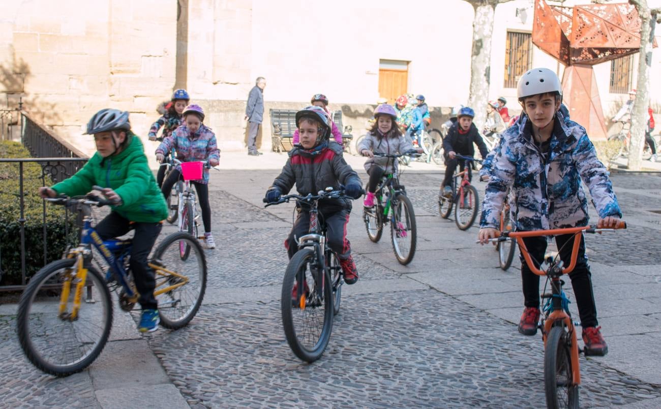 La V Marcha Solidaria en Bicicleta, a beneficio de la AECC ha reunido en Santo Domingo de la Calzada a cerca de 500 personas, la mayoría de ellas escolares.