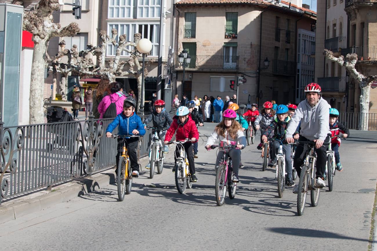 La V Marcha Solidaria en Bicicleta, a beneficio de la AECC ha reunido en Santo Domingo de la Calzada a cerca de 500 personas, la mayoría de ellas escolares.