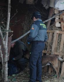 Imagen secundaria 2 - Arriba y abajo, 'Tiétar' inspecciona la finca. En el centro, uno de los cebos envenenados