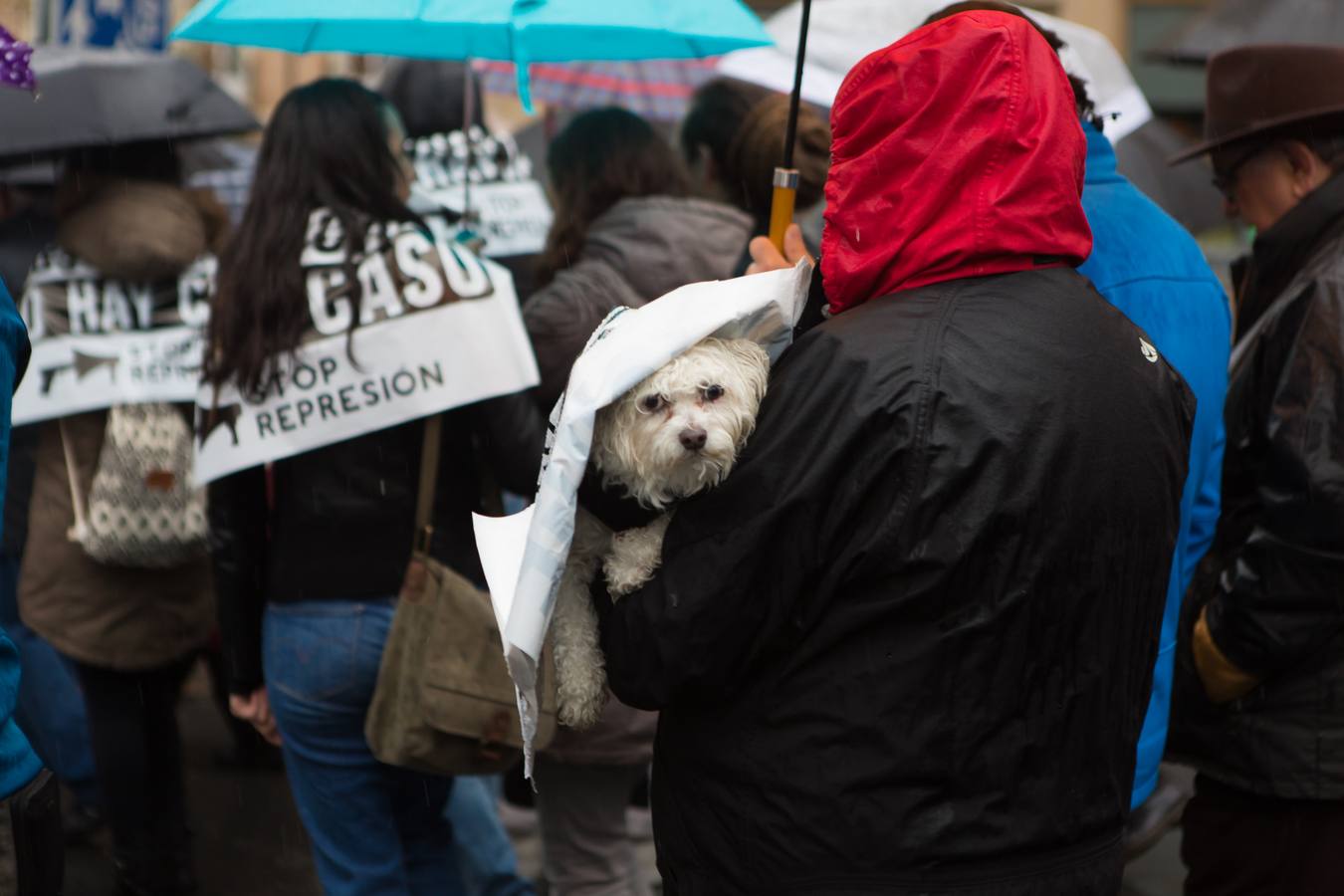 Una multitudinaria manifestación recorrió el centro de Logroño bajo la lluvia para reclamar la absolución de los dos jóvenes encausados