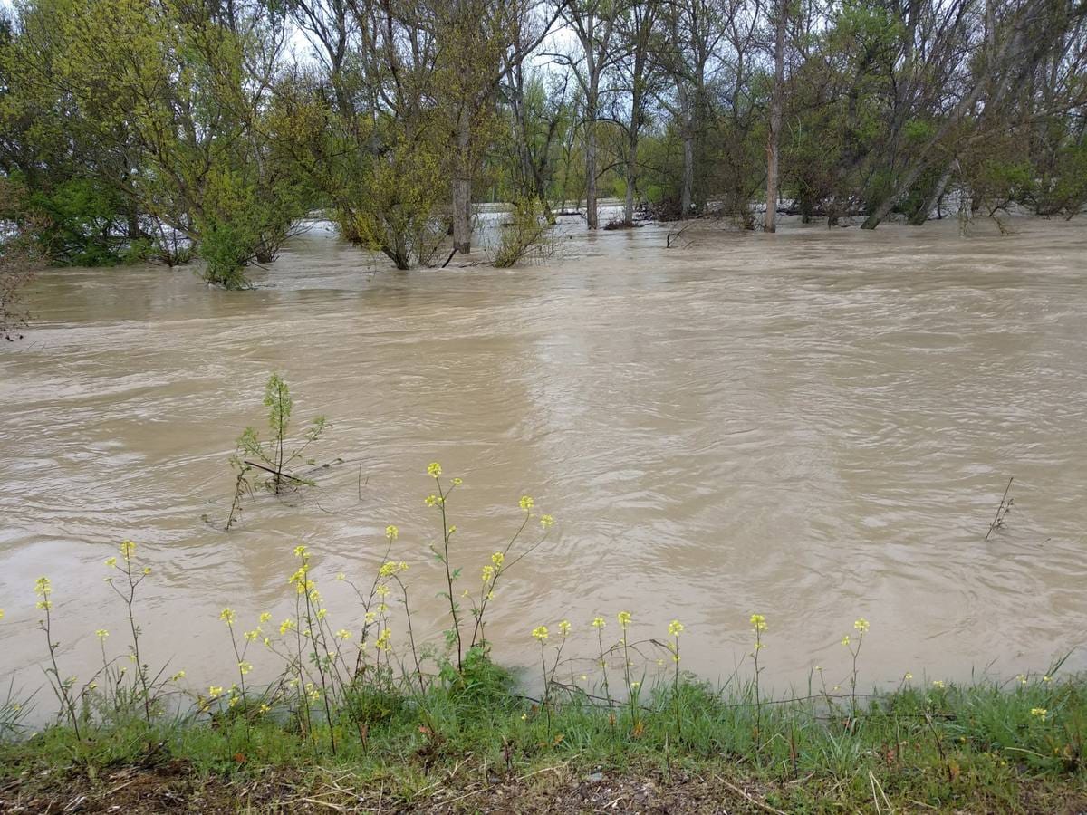 Fotos: El Ebro inunda Alfaro