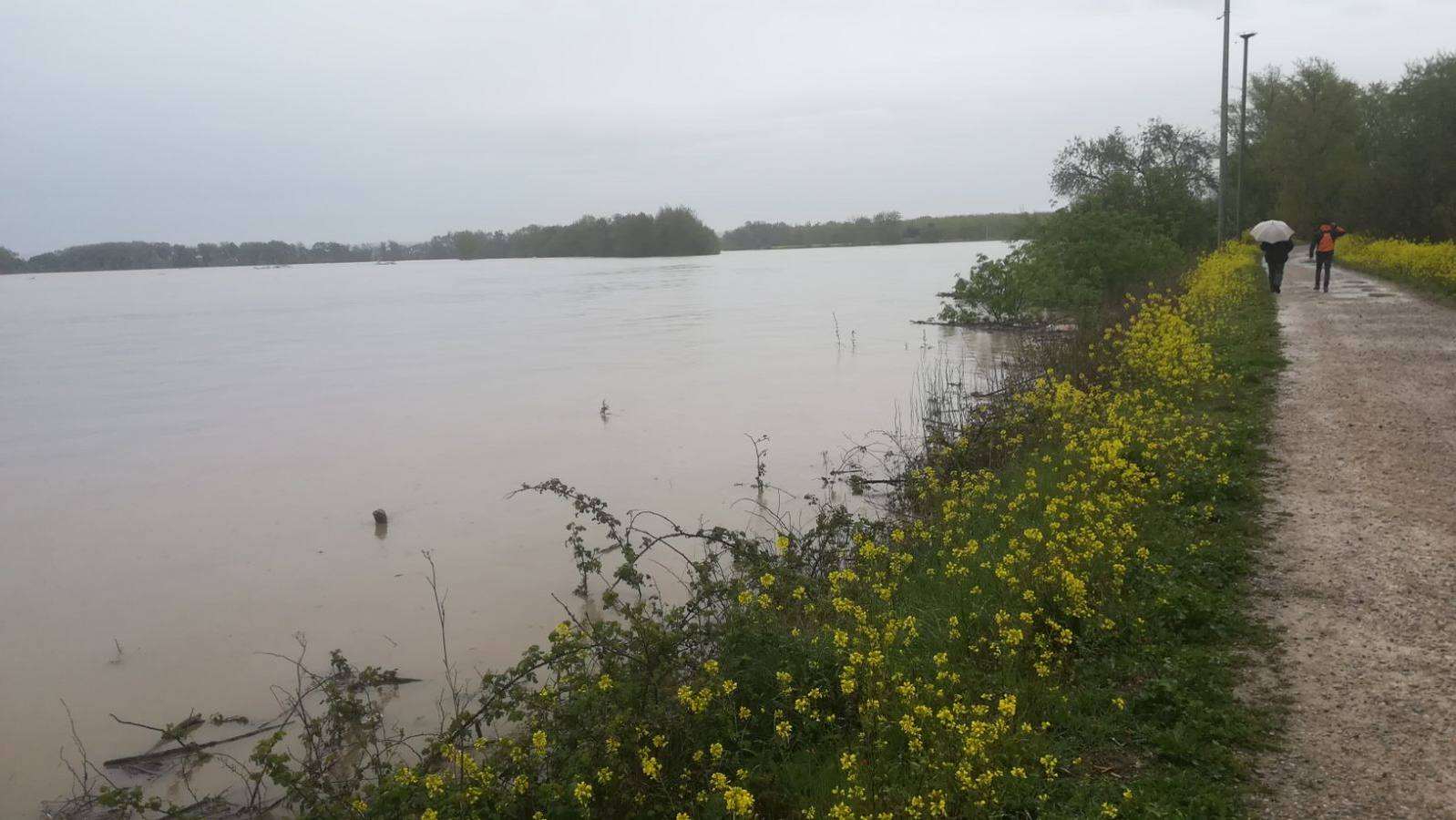 Fotos: El Ebro inunda Alfaro