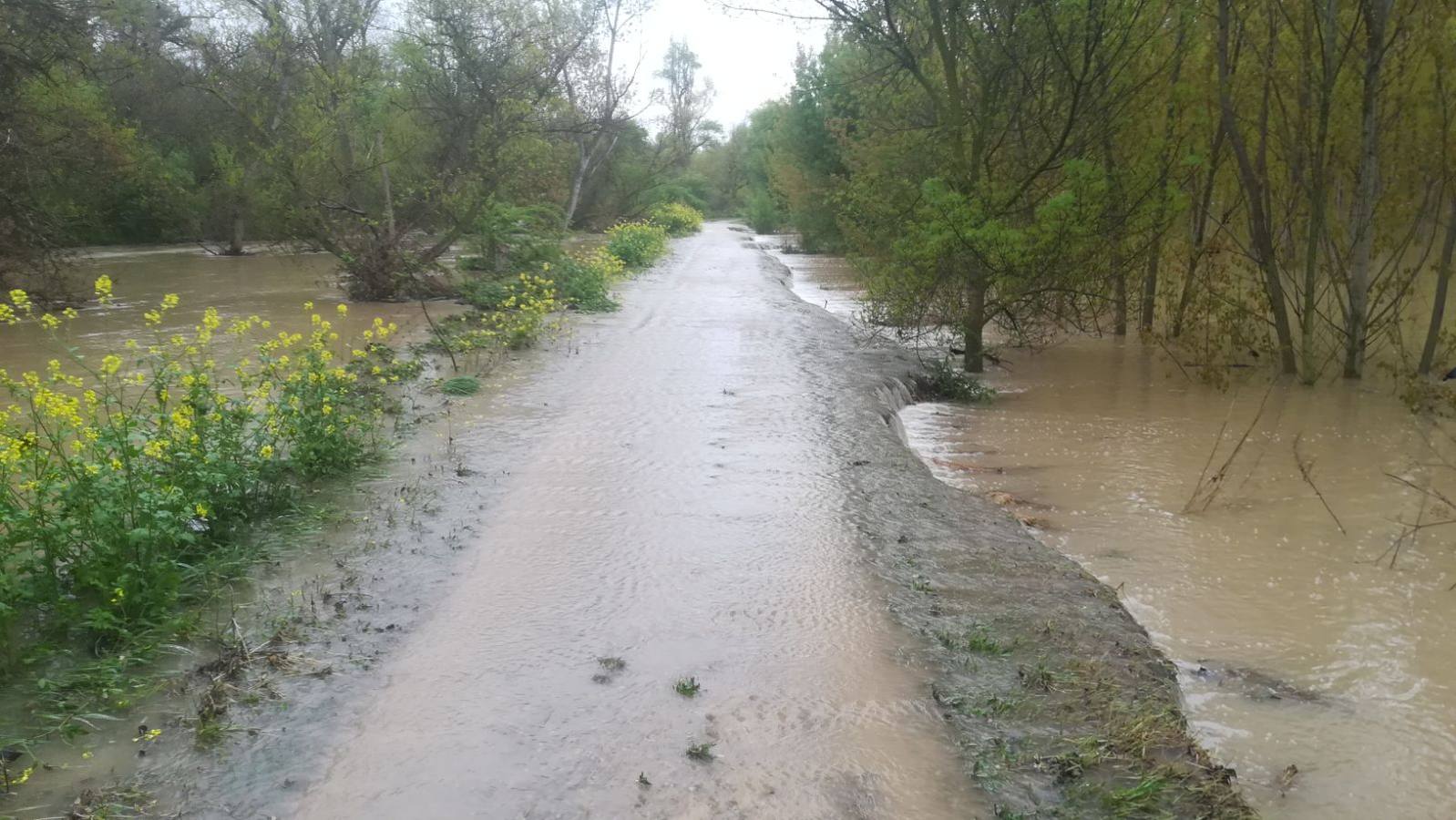 Fotos: El Ebro inunda Alfaro