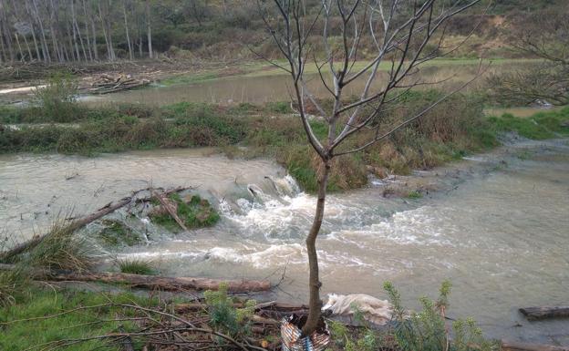 Galería. Embalse de Añamaza en Valdegutur 