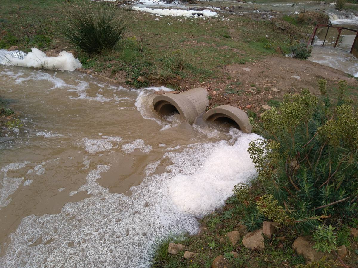 Las lluvias y las nevadas de los últimos meses han provocado el actual aumento de los cauces de los ríos de la comarca de Cervera. El Añamaza, procedente de tierras sorianas ha provocado el llenado del embalse del mismo nombre, en Valdegutur, pedanía de Cervera. Todas las compuertas están abiertas desde hace varios días y ayer el agua continuaba en el límite de la cota de la presa.