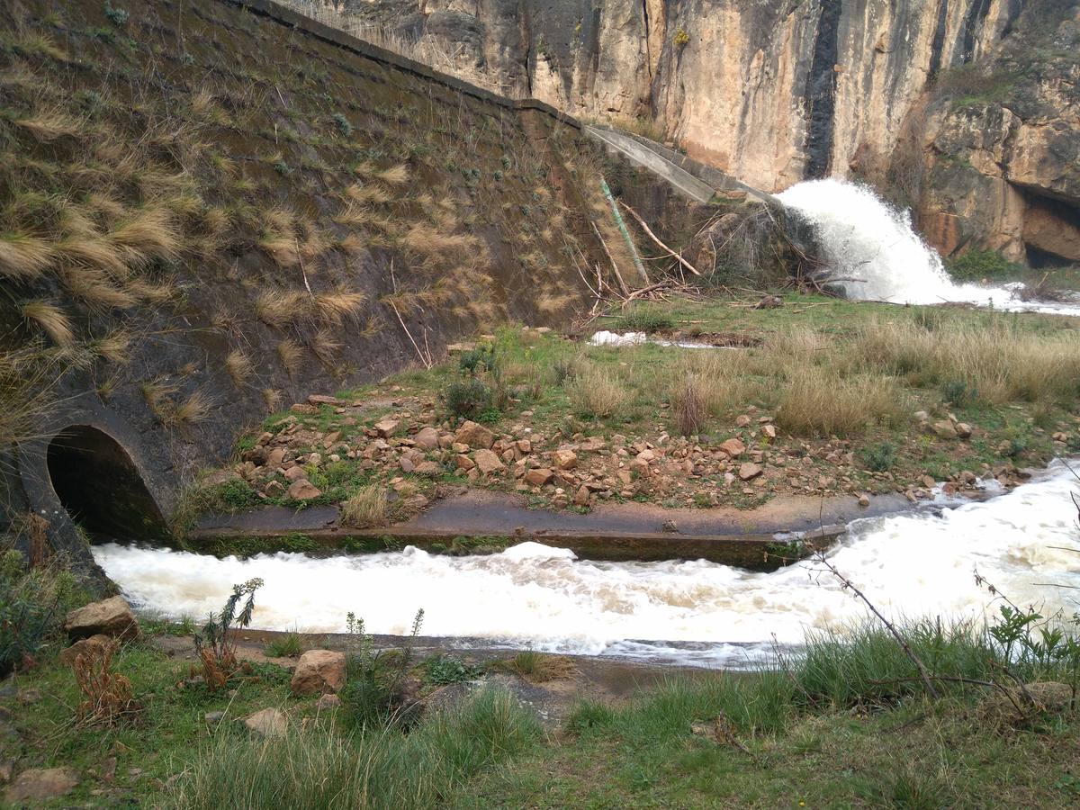 Las lluvias y las nevadas de los últimos meses han provocado el actual aumento de los cauces de los ríos de la comarca de Cervera. El Añamaza, procedente de tierras sorianas ha provocado el llenado del embalse del mismo nombre, en Valdegutur, pedanía de Cervera. Todas las compuertas están abiertas desde hace varios días y ayer el agua continuaba en el límite de la cota de la presa.