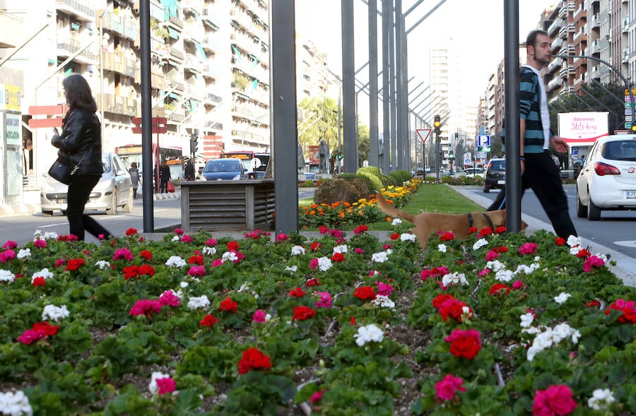 Colores por toda la ciudad. Las flores lo inundan todo. Han sido meses de frío y de una primavera oscura, fría y húmeda. Toca meter color y la ciudad deslumbra con el colorido de las plantas.