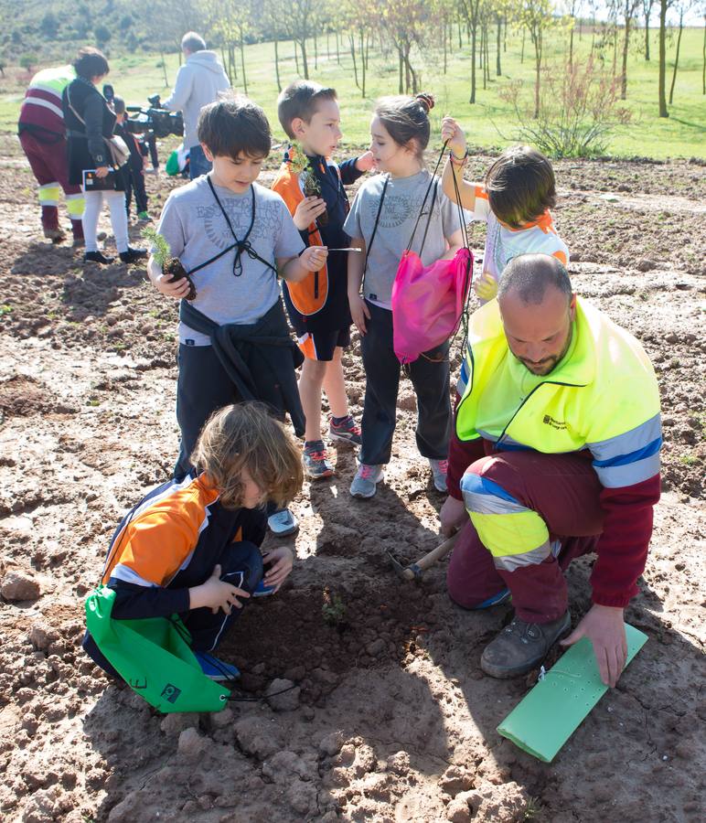 Cuca Gamarra y unos 200 escolares de la ciudad han participado en la tradicional plantación de encinas y pinos en el parque de La Grajera