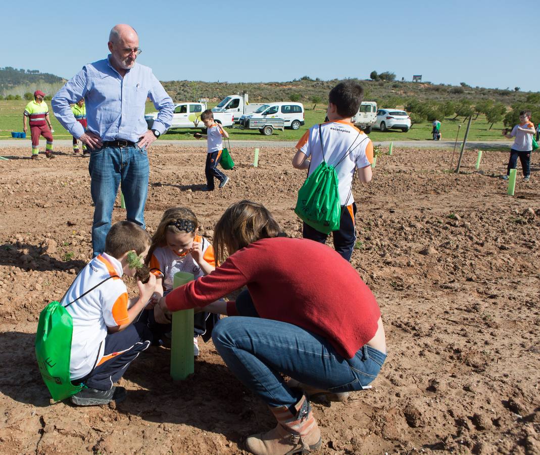 Cuca Gamarra y unos 200 escolares de la ciudad han participado en la tradicional plantación de encinas y pinos en el parque de La Grajera