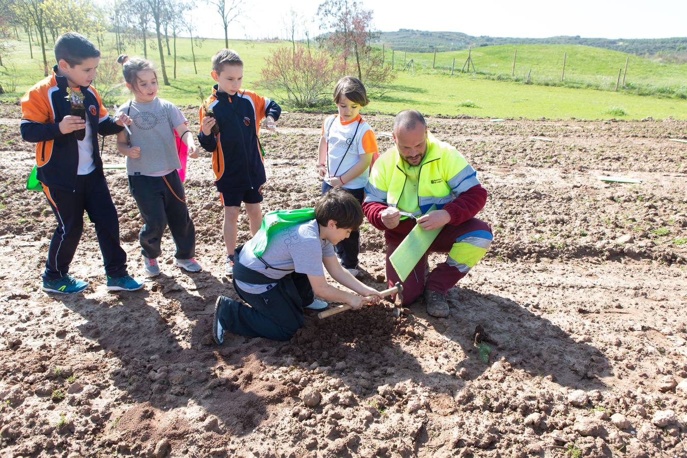 Cuca Gamarra y unos 200 escolares de la ciudad han participado en la tradicional plantación de encinas y pinos en el parque de La Grajera