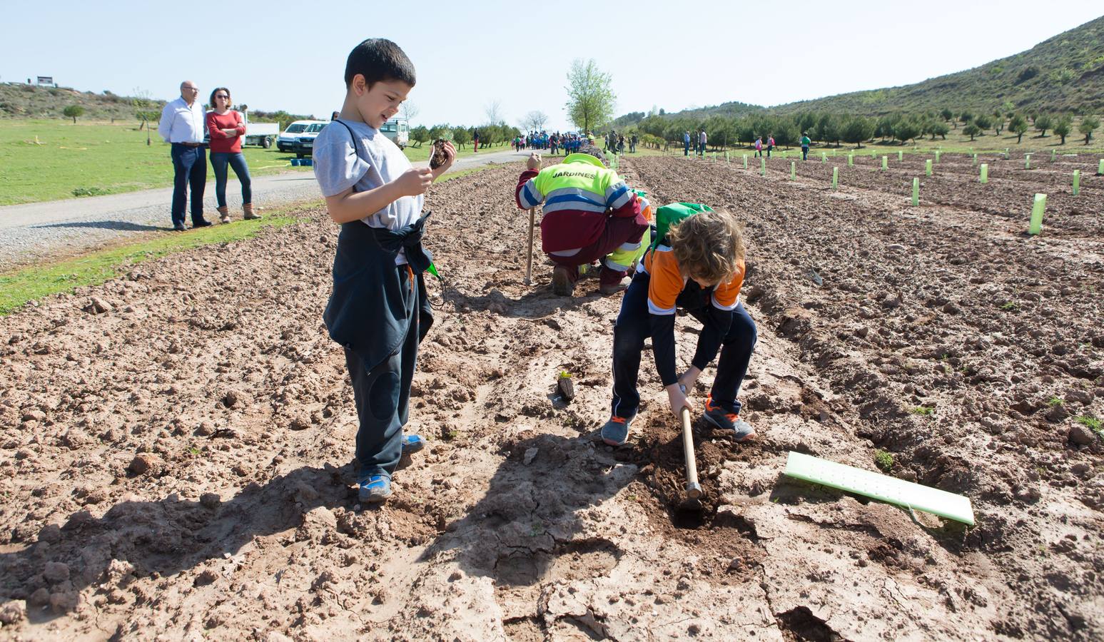 Cuca Gamarra y unos 200 escolares de la ciudad han participado en la tradicional plantación de encinas y pinos en el parque de La Grajera