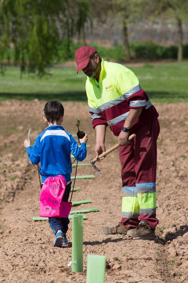 Cuca Gamarra y unos 200 escolares de la ciudad han participado en la tradicional plantación de encinas y pinos en el parque de La Grajera