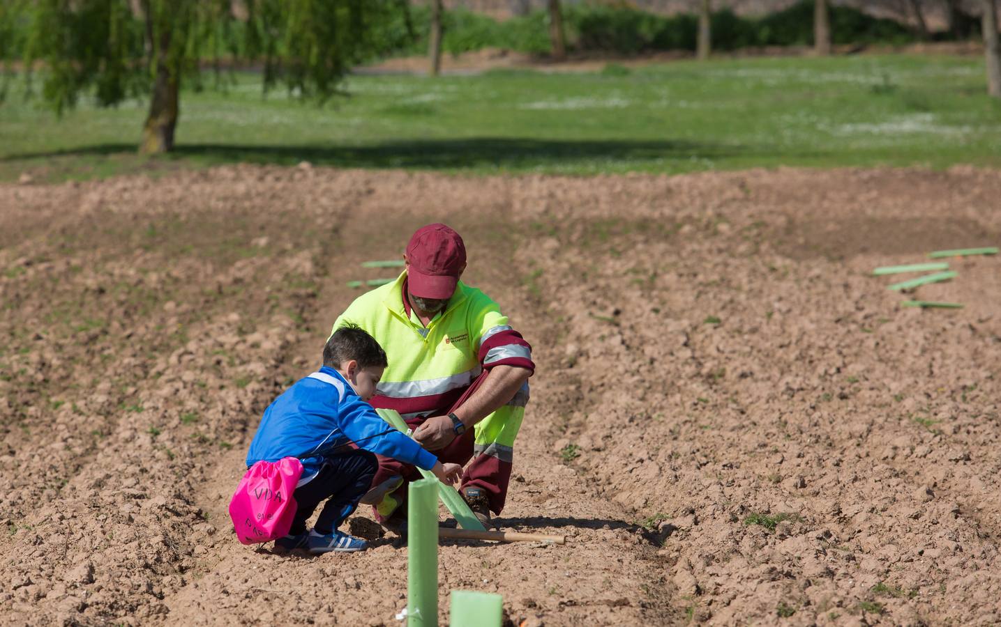 Cuca Gamarra y unos 200 escolares de la ciudad han participado en la tradicional plantación de encinas y pinos en el parque de La Grajera