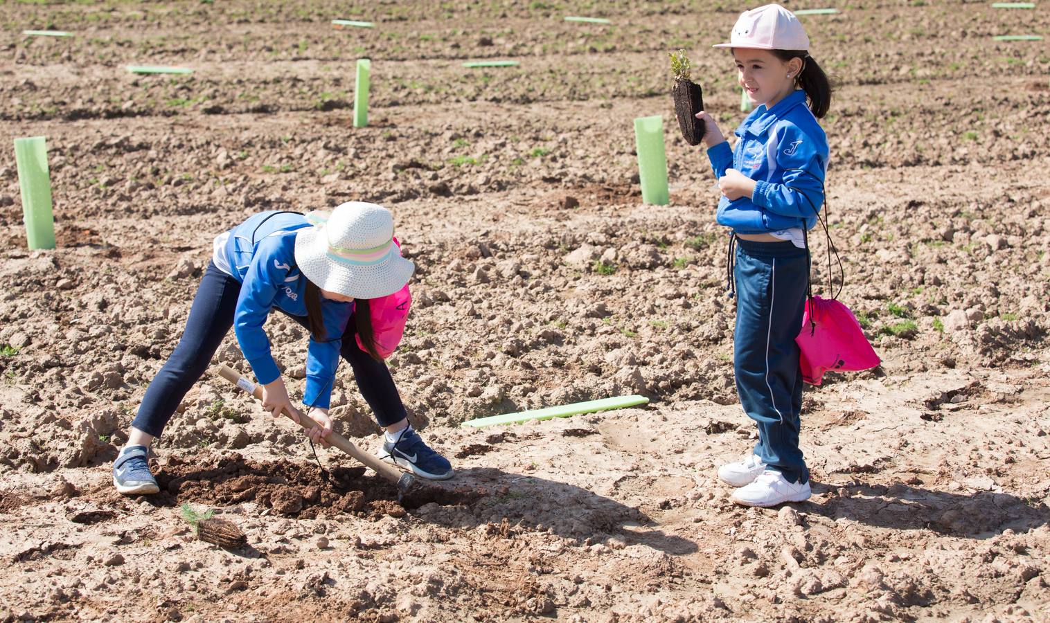 Cuca Gamarra y unos 200 escolares de la ciudad han participado en la tradicional plantación de encinas y pinos en el parque de La Grajera