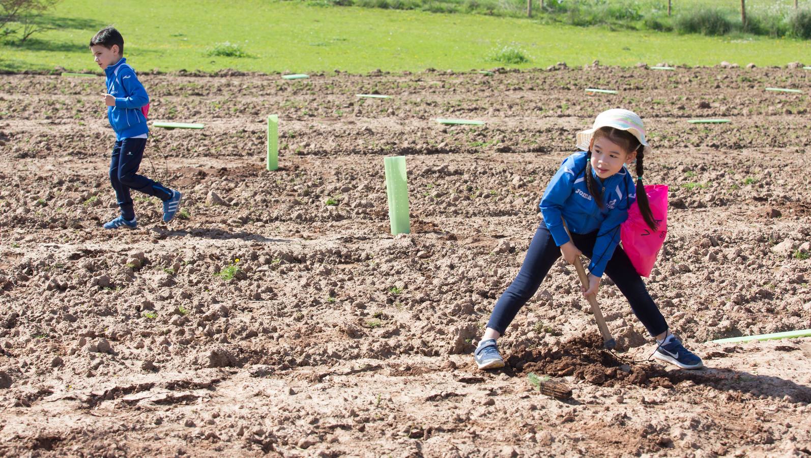 Cuca Gamarra y unos 200 escolares de la ciudad han participado en la tradicional plantación de encinas y pinos en el parque de La Grajera