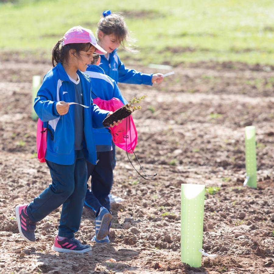 Cuca Gamarra y unos 200 escolares de la ciudad han participado en la tradicional plantación de encinas y pinos en el parque de La Grajera