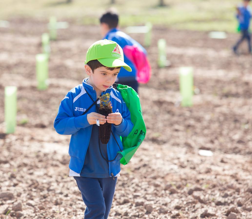 Cuca Gamarra y unos 200 escolares de la ciudad han participado en la tradicional plantación de encinas y pinos en el parque de La Grajera