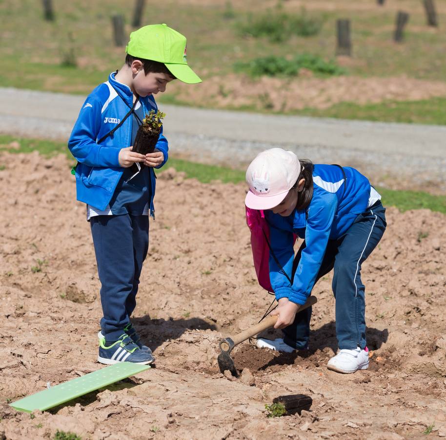 Cuca Gamarra y unos 200 escolares de la ciudad han participado en la tradicional plantación de encinas y pinos en el parque de La Grajera