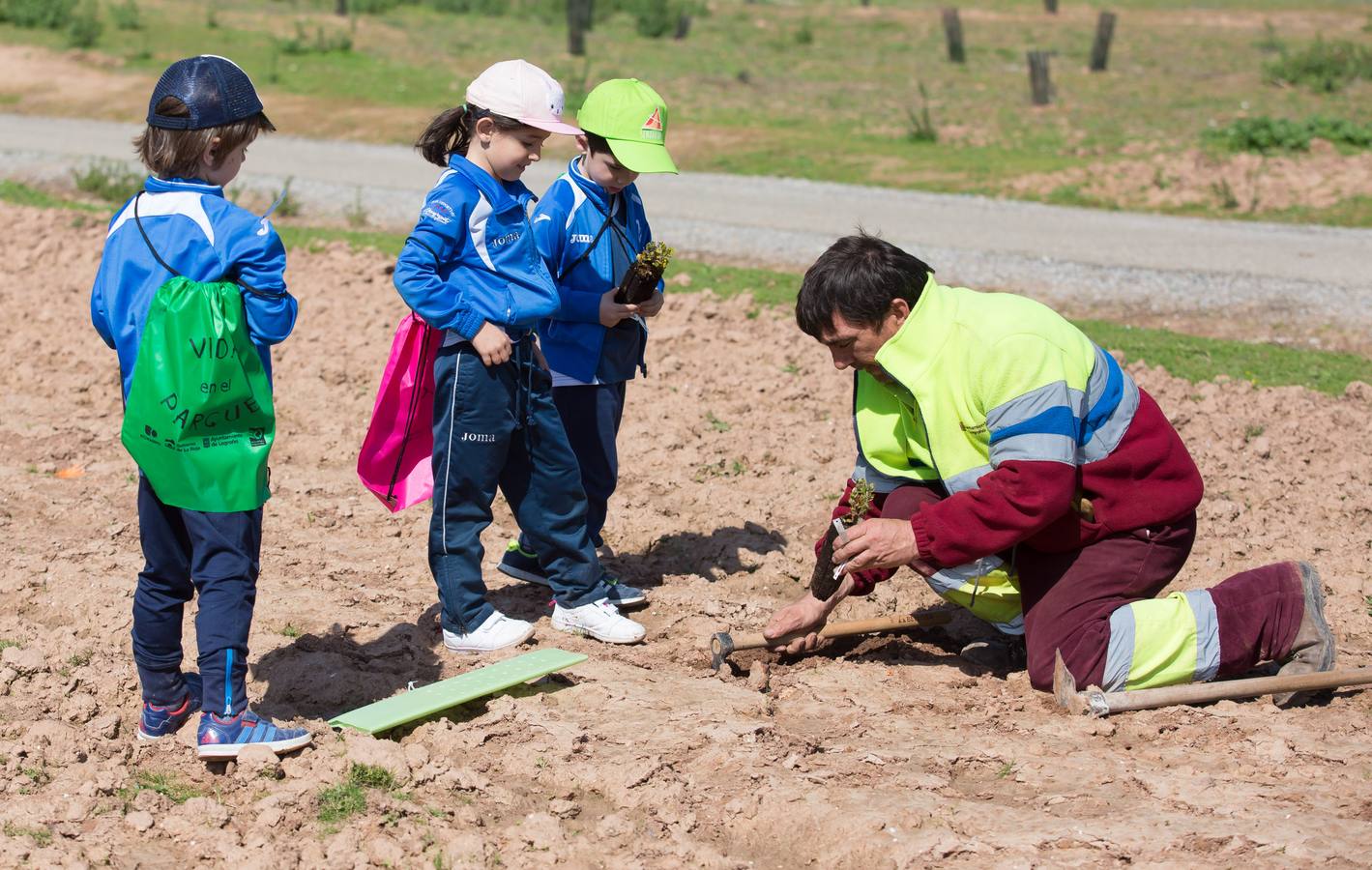 Cuca Gamarra y unos 200 escolares de la ciudad han participado en la tradicional plantación de encinas y pinos en el parque de La Grajera