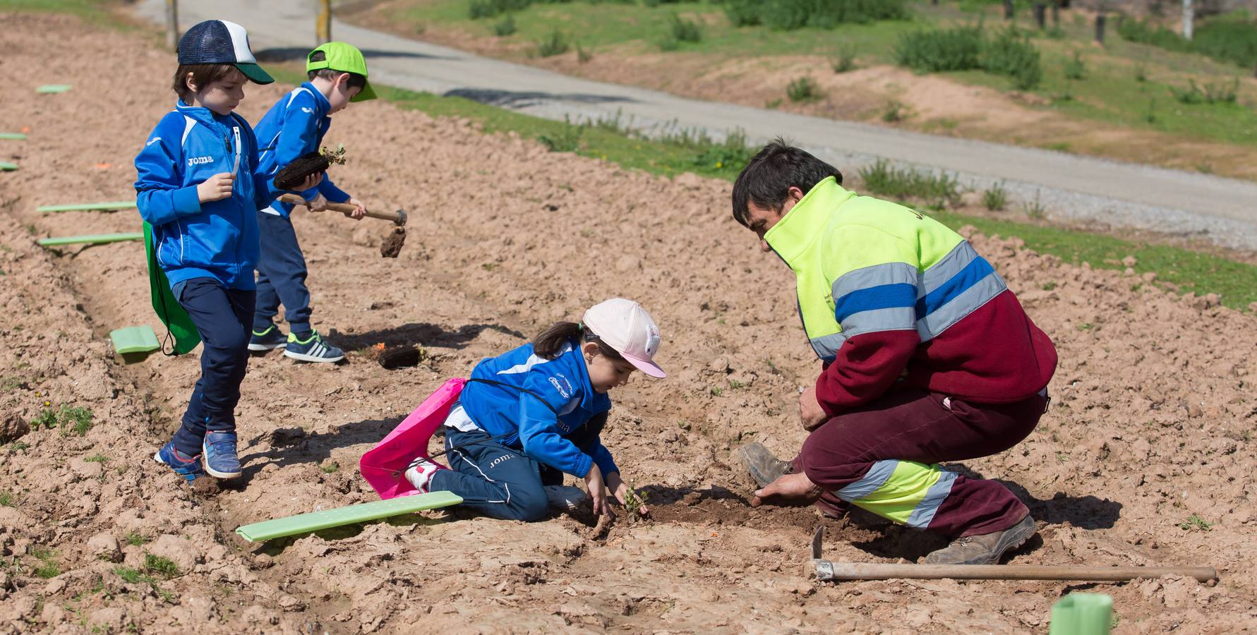 Cuca Gamarra y unos 200 escolares de la ciudad han participado en la tradicional plantación de encinas y pinos en el parque de La Grajera