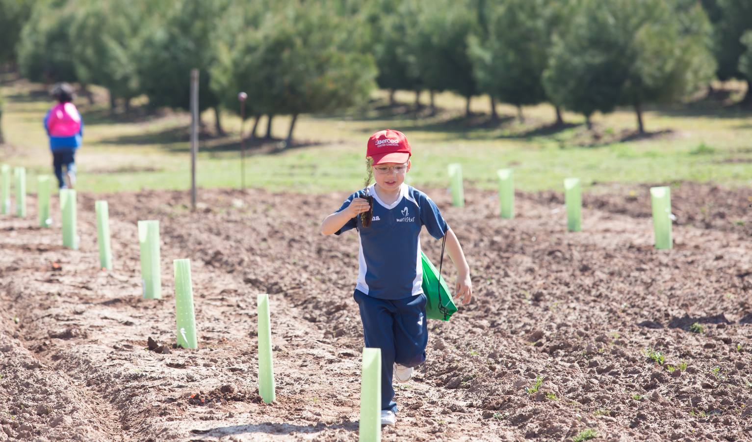 Cuca Gamarra y unos 200 escolares de la ciudad han participado en la tradicional plantación de encinas y pinos en el parque de La Grajera