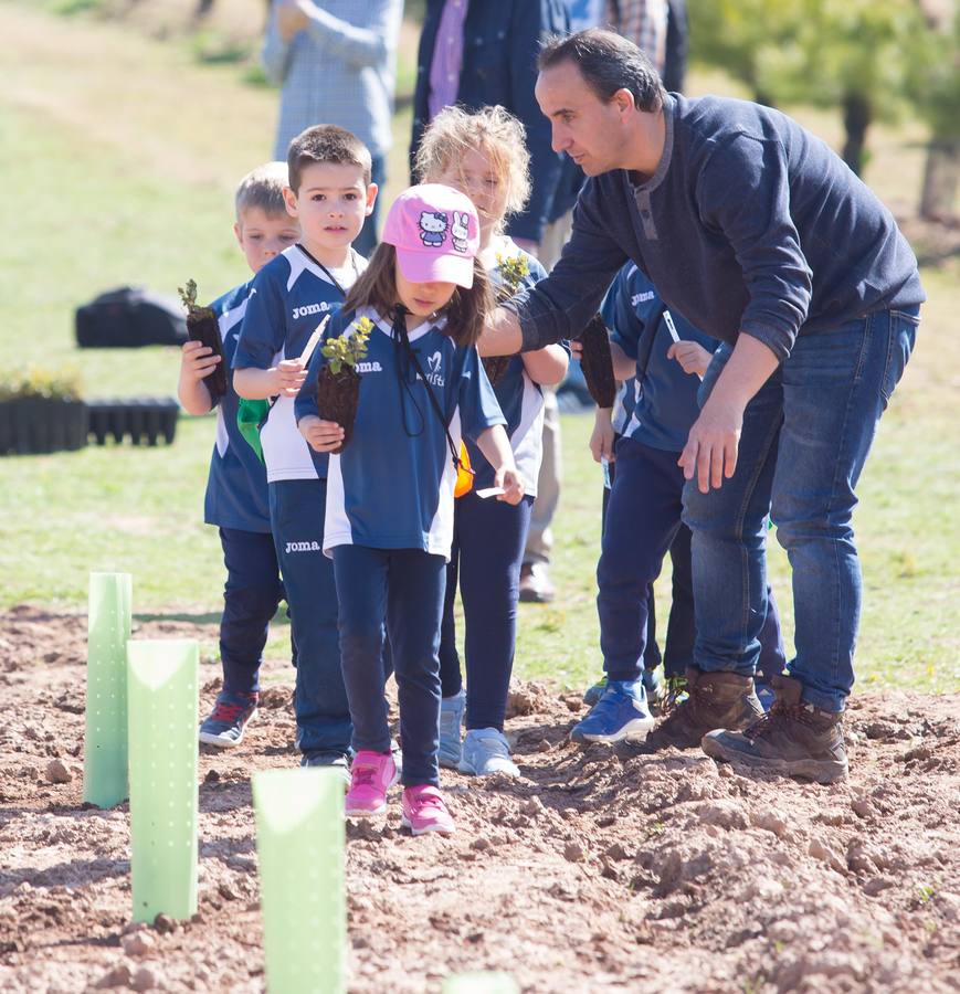 Cuca Gamarra y unos 200 escolares de la ciudad han participado en la tradicional plantación de encinas y pinos en el parque de La Grajera