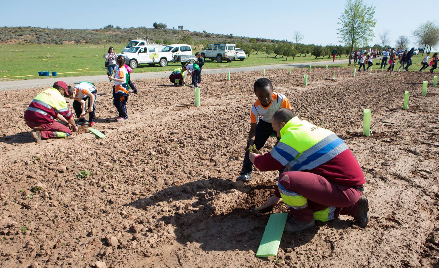 Cuca Gamarra y unos 200 escolares de la ciudad han participado en la tradicional plantación de encinas y pinos en el parque de La Grajera