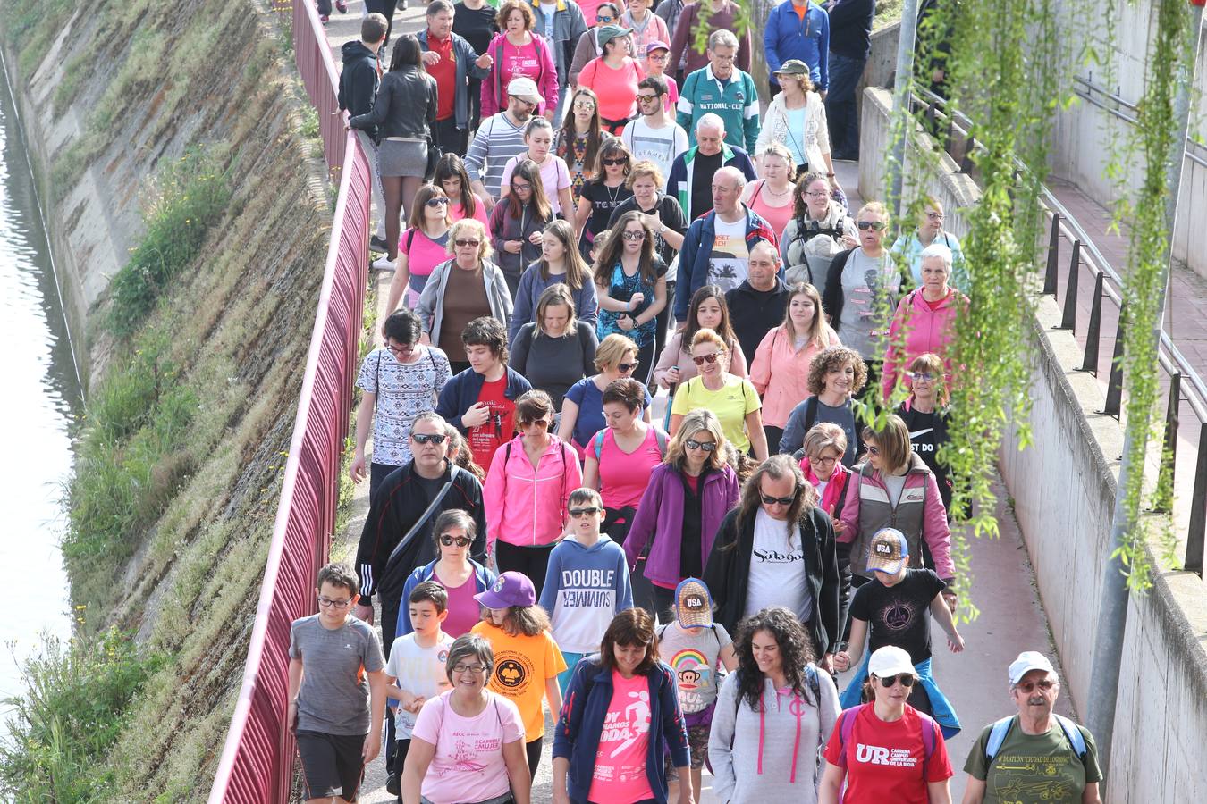 1.400 personas han participado en el tercer Paseo Saludable con destino el Monte Cantabria.