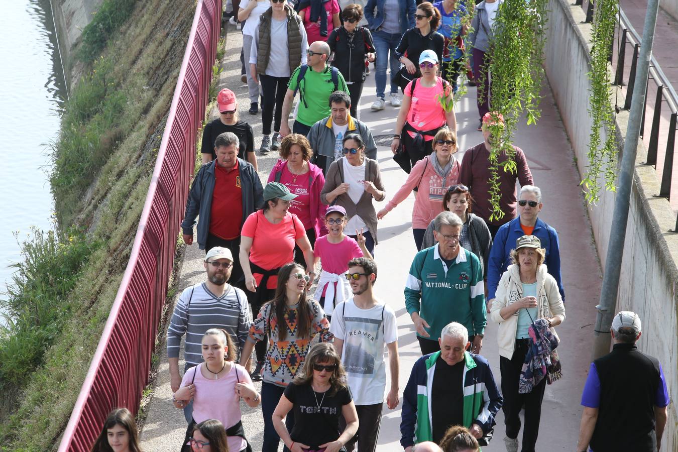 1.400 personas han participado en el tercer Paseo Saludable con destino el Monte Cantabria.